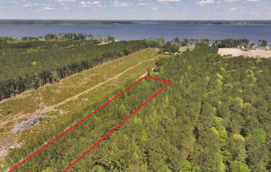 Wooded 3.69 Acres Near Pamlico River