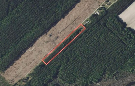 Wooded 3.69 Acres Near Pamlico River