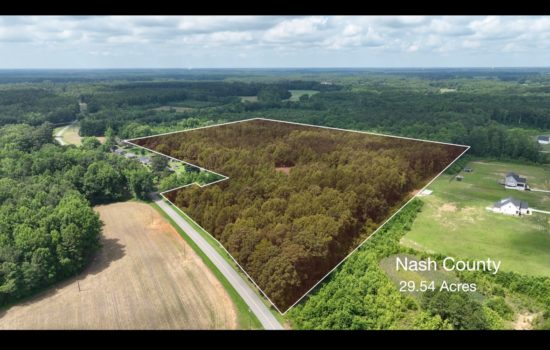 Exceptional 29+ Acre Estate – Build Your Dream Ranch