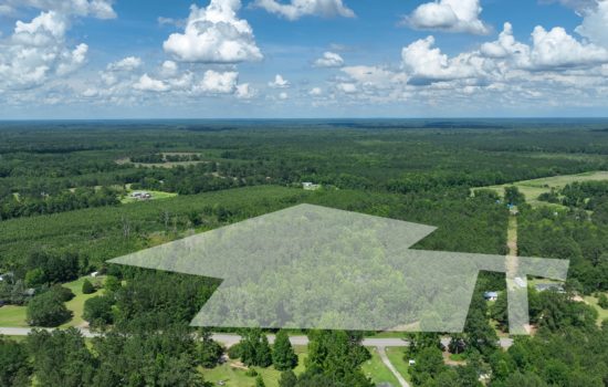Expansive 13.44-Acre Wooded Property in Sylvania GA – Seller Financing Available