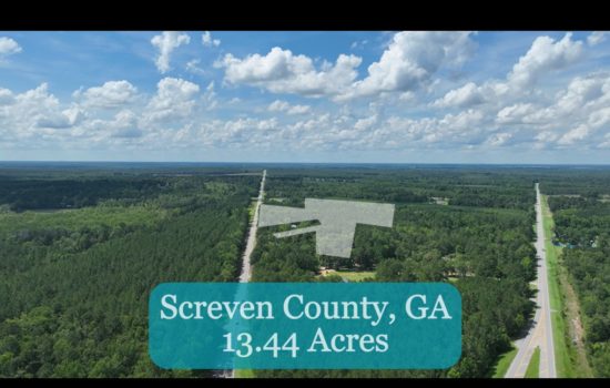 Expansive 13.44-Acre Wooded Property in Sylvania GA